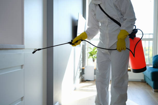 Trusted Kenmore, WA Mold Removal Experts